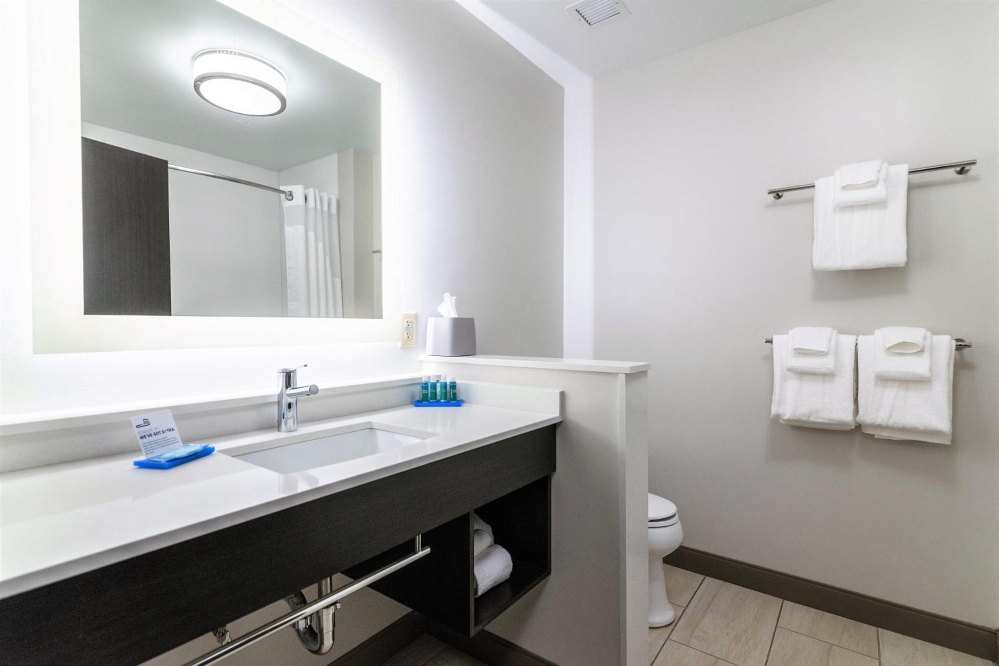 Holiday Inn Express & Suites Allen Park By Ihg Eksteriør billede